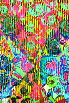 Printed Silk Charmeuse0