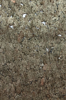 Brushed Platinum Cork0