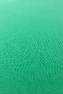 Catalina Cotton Jersey in Aloe0