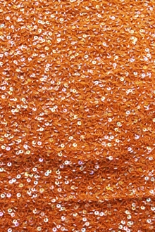 Sequins on Silk Chiffon0