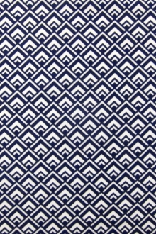 Cotton Broadcloth Print0