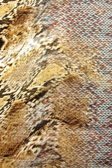 Printed Silk Charmeuse0