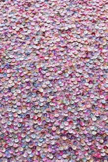 Novelty Sequins on Silk Chiffon0