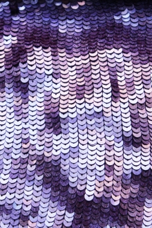 Sequins on Silk Chiffon0