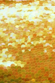 Paillettes on Silk Chiffon0