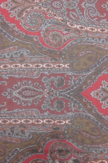 Printed Iridescent Silk Chiffon1