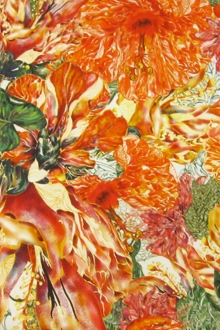 Printed Silk Charmeuse0