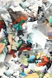 Printed Silk Organza0