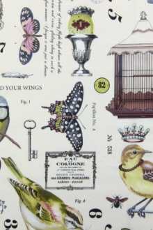 Cotton Broadcloth Print0