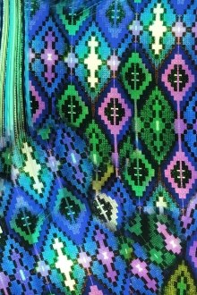 Printed Silk Charmeuse0