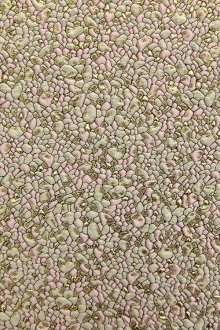 French Metallic Cloqué with a Pebble Texture0