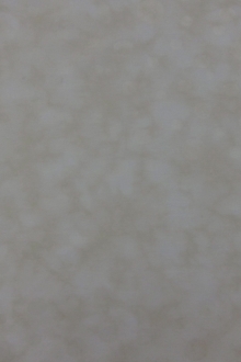 Cotton Broadcloth Print0