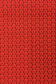 Cotton Broadcloth Print 0