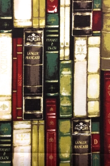 Japanese Cotton Lightweight Canvas Print0