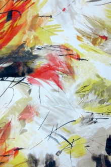 Printed Silk Chiffon0