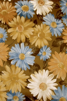 Printed Silk Charmeuse0