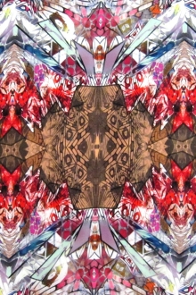 Printed Silk Charmeuse0