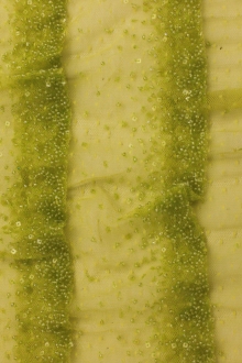 Ombré Beaded and Sequined Novelty Illusion0