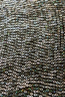 Sequins on Silk Chiffon0