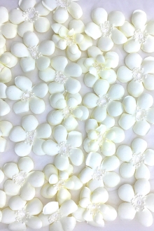 Eggshell Flowers Appliqued on Tulle with Lace Trim0