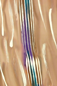 Printed Silk Charmeuse0