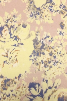 Printed Silk Organza0