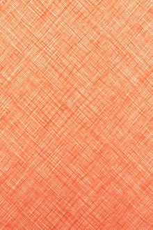 Cotton Broadcloth Print0