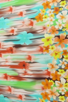 Printed Silk Charmeuse0