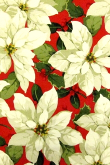 Cotton Broadcloth Print0