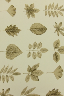 Printed Silk Georgette0