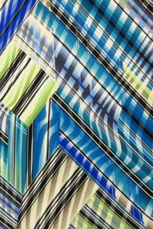 Printed Silk Charmeuse0