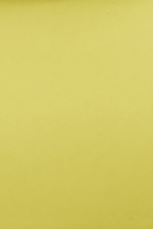 Japanese Cotton Poplin in Yellow0