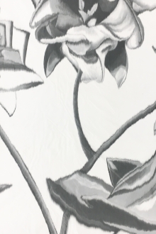 Tom Ford Warp Printed Silk Taffeta with Large Roses0