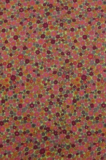 Printed Silk Double Georgette0