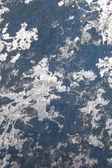 Metallic Silk Georgette Cloqué0