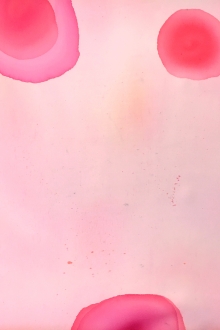 Hand Painted Silk Gazar with Watercolor Dots0