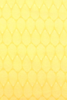 Cotton Broadcloth Print0