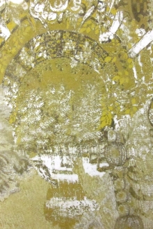 Printed Silk Organza0