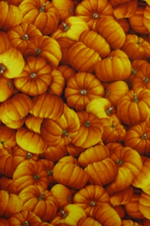 Cotton Broadcloth Print0