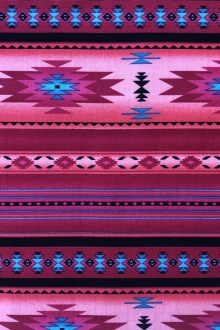 Navajo1