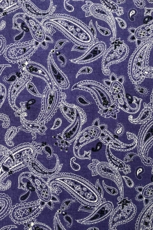 Paisley 1