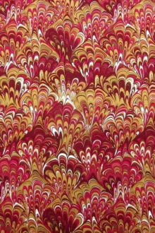 Printed Silk Charmeuse0
