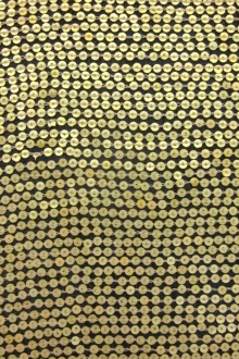 Sequins on Silk Chiffon0