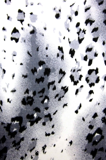 Printed Silk Chiffon0