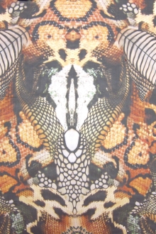 Printed Silk Chiffon0