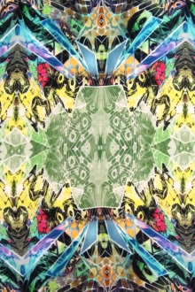 Printed Silk Charmeuse0