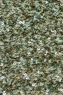 Sequins on Silk Chiffon0