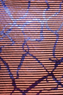 Silk Blend Metallic Stripe Organza0