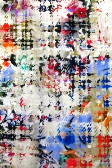 Printed Silk Charmeuse0