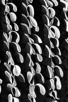 Novelty Samba Polyester Georgette Ruffles0